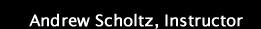 AScholtz home