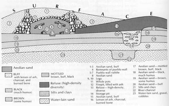 ..\..\..\My Documents\Ant125\images\strat profile.jpg