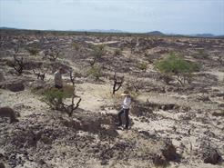 La Playa Site, Paul Hudson & Tanya Chiykowski
