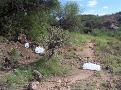 Water in the Desert