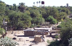 Yaqui Pueblo of Torim 2008